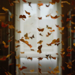 Read more about the article THE BUTTERFLIES OF MENTAL HEALTH
